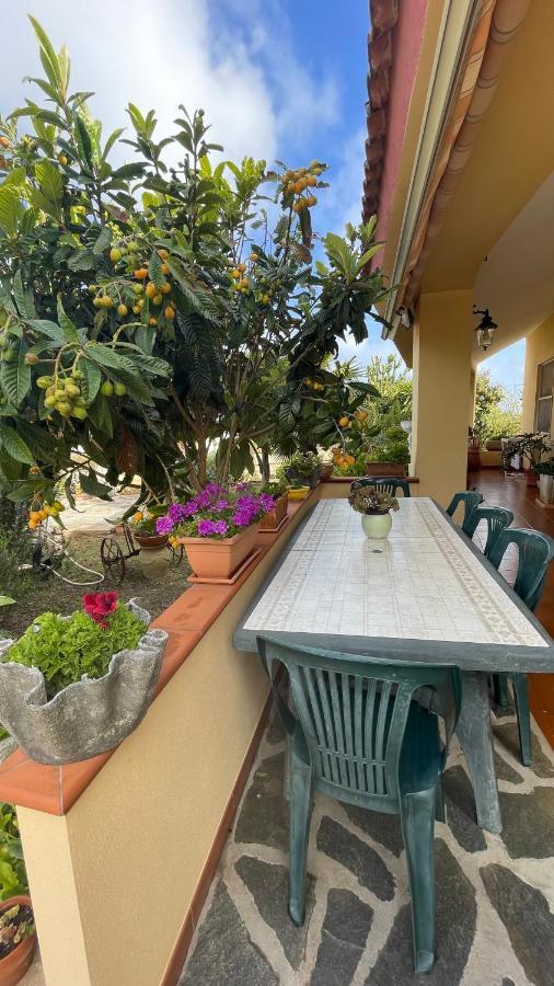 Bed and Breakfast La Mansarda Biancareddu Экстерьер фото